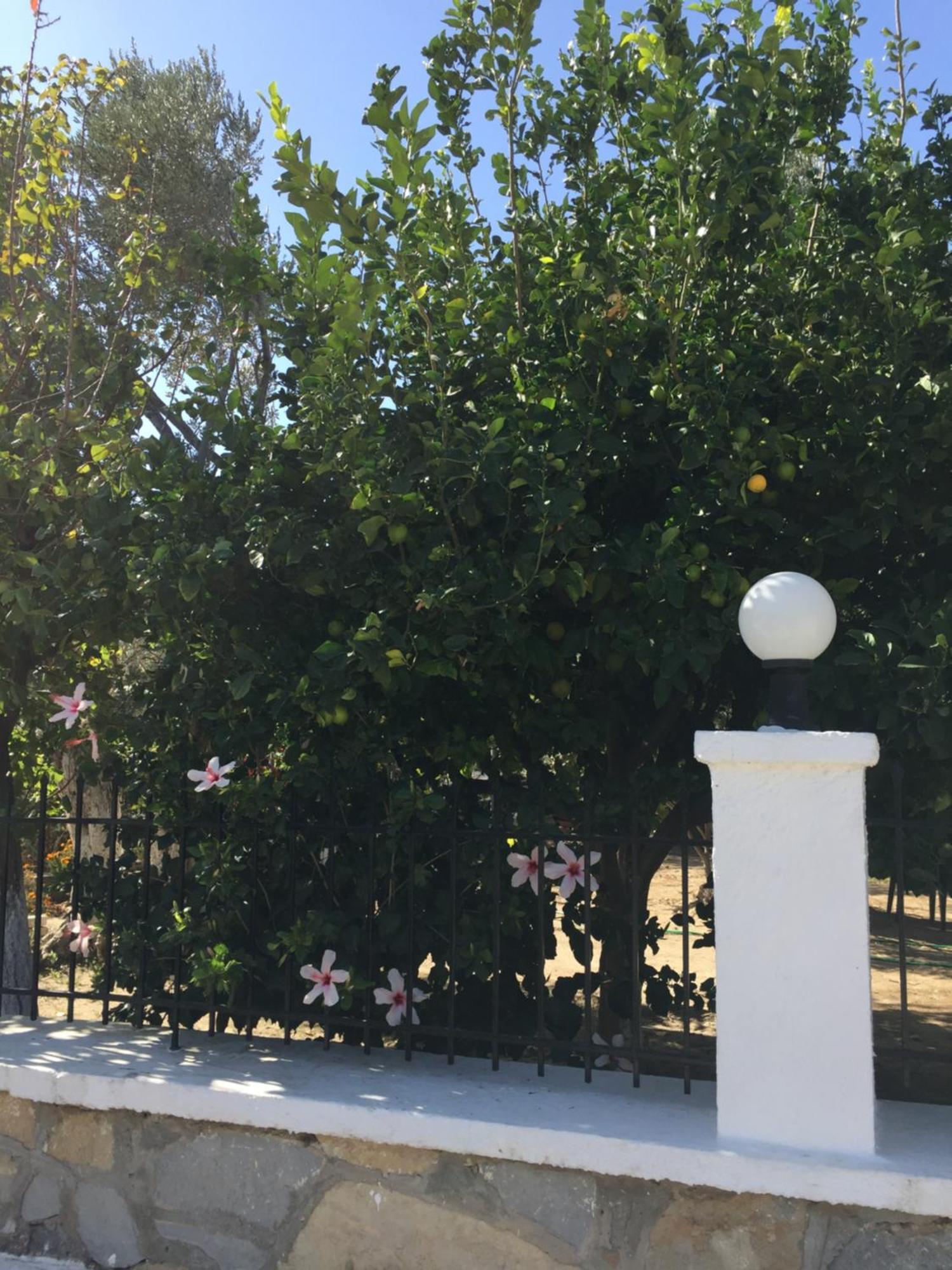 Livanina Apartments Kampos Marathokampou Экстерьер фото